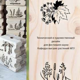 Иллюстрация и технический дизайн