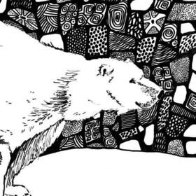 Черным по белому. Прогулка по зоопарку