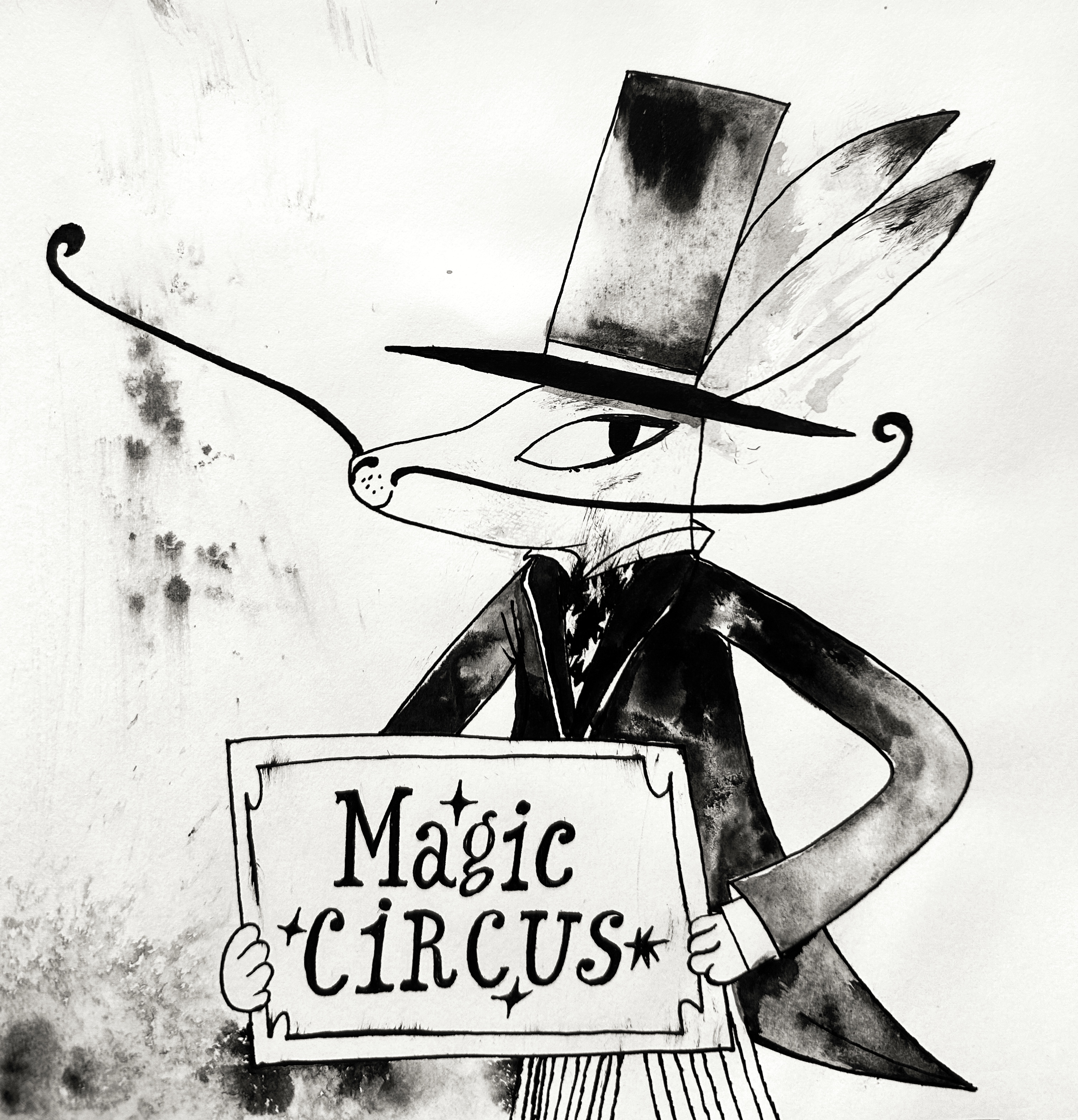 Волшебный цирк