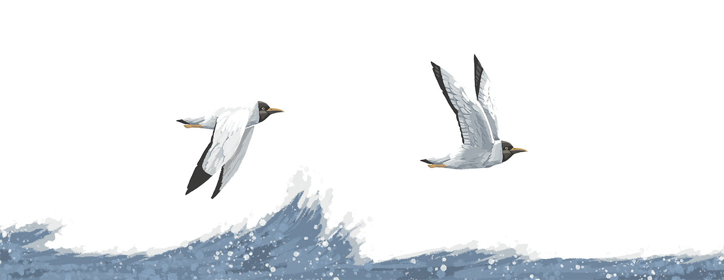 Счастливая земля. Нивхские сказки