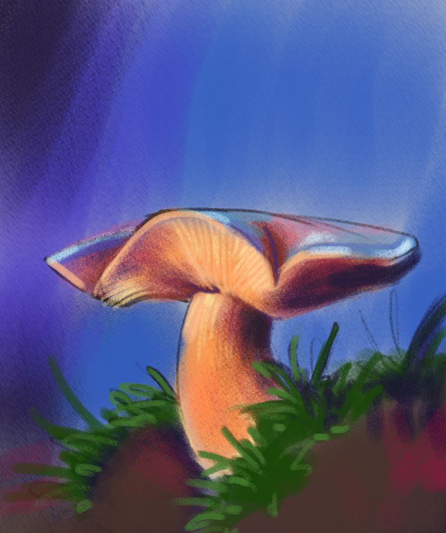 Ботанические зарисовки