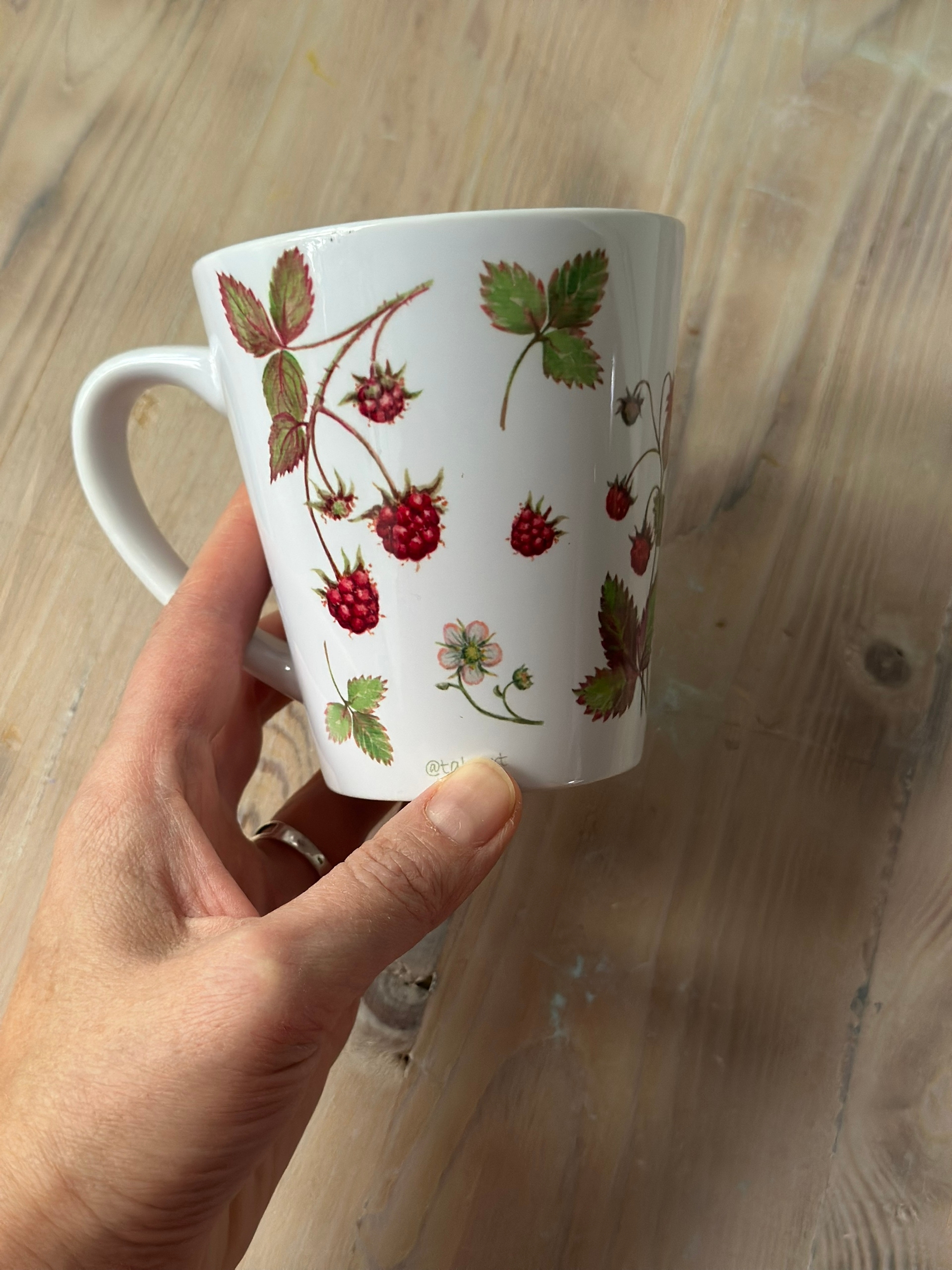 Иллюстрации "Ягоды и птицы"