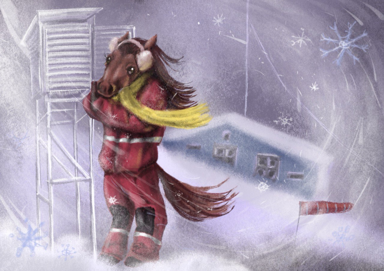 Календарь на 2026 год для,Камчатгидромет