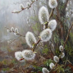 Пушистая верба