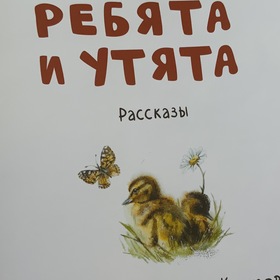 Книга с моими иллюстрациями