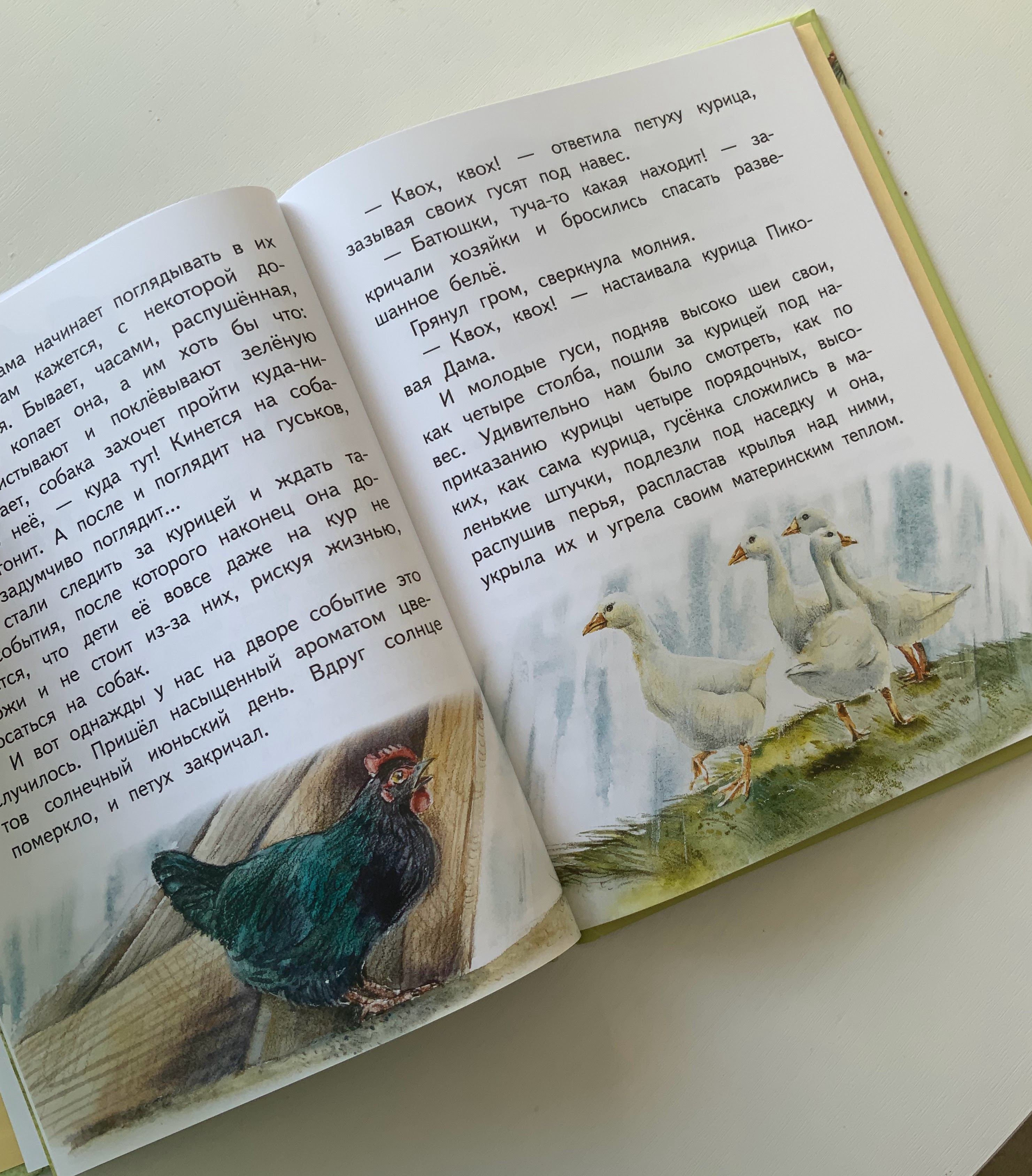 Книга с моими иллюстрациями