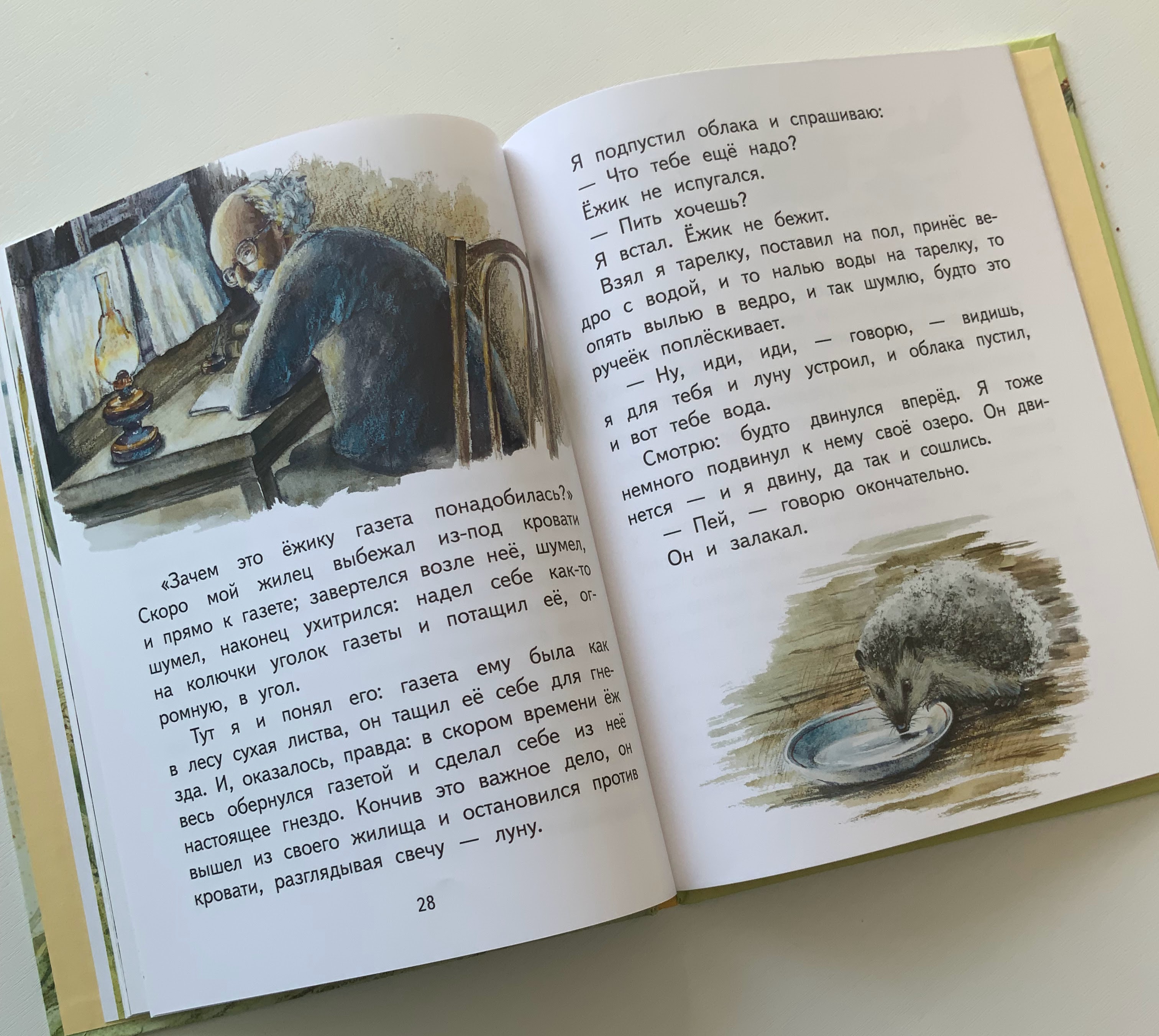 Книга с моими иллюстрациями
