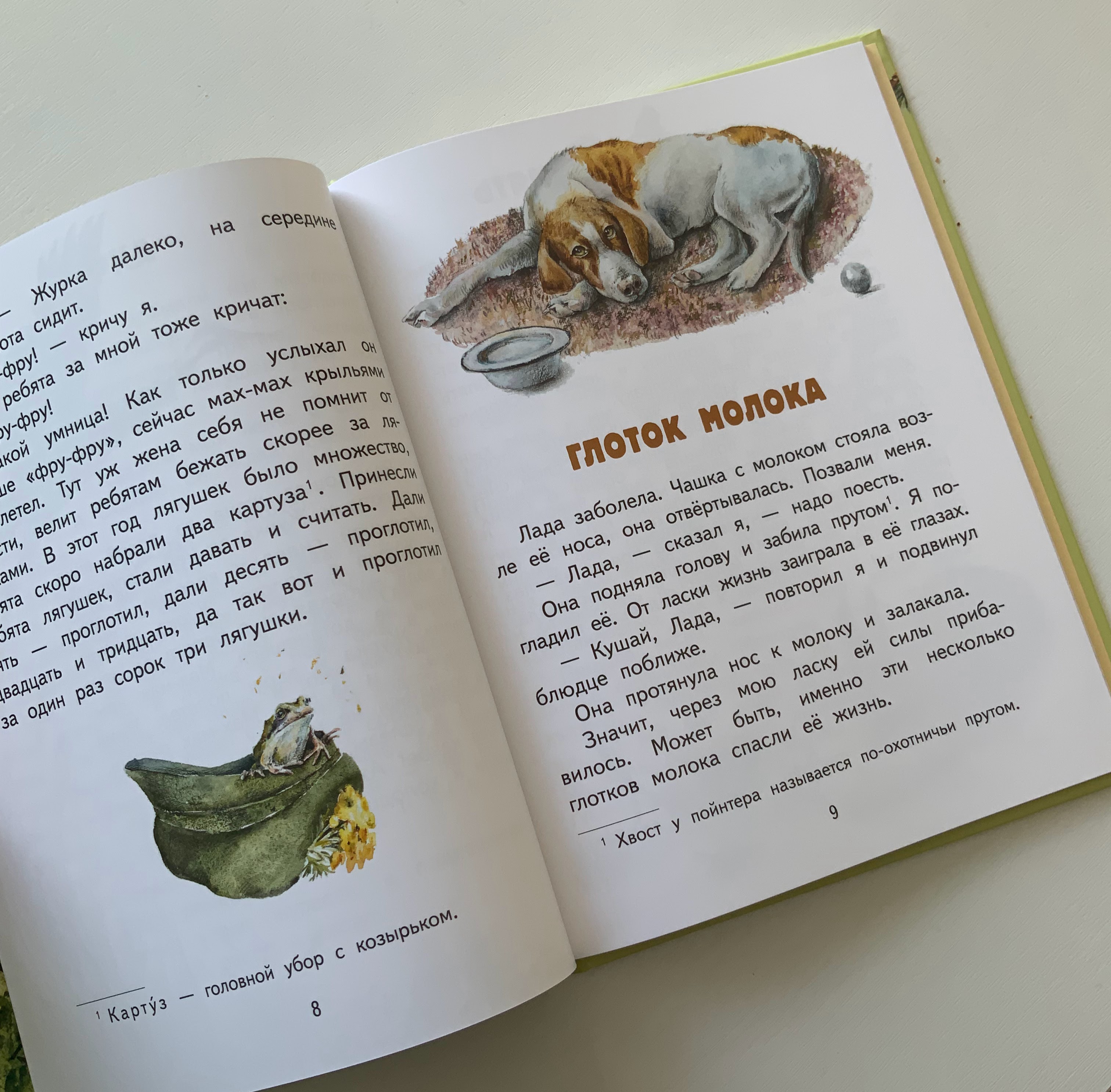 Книга с моими иллюстрациями