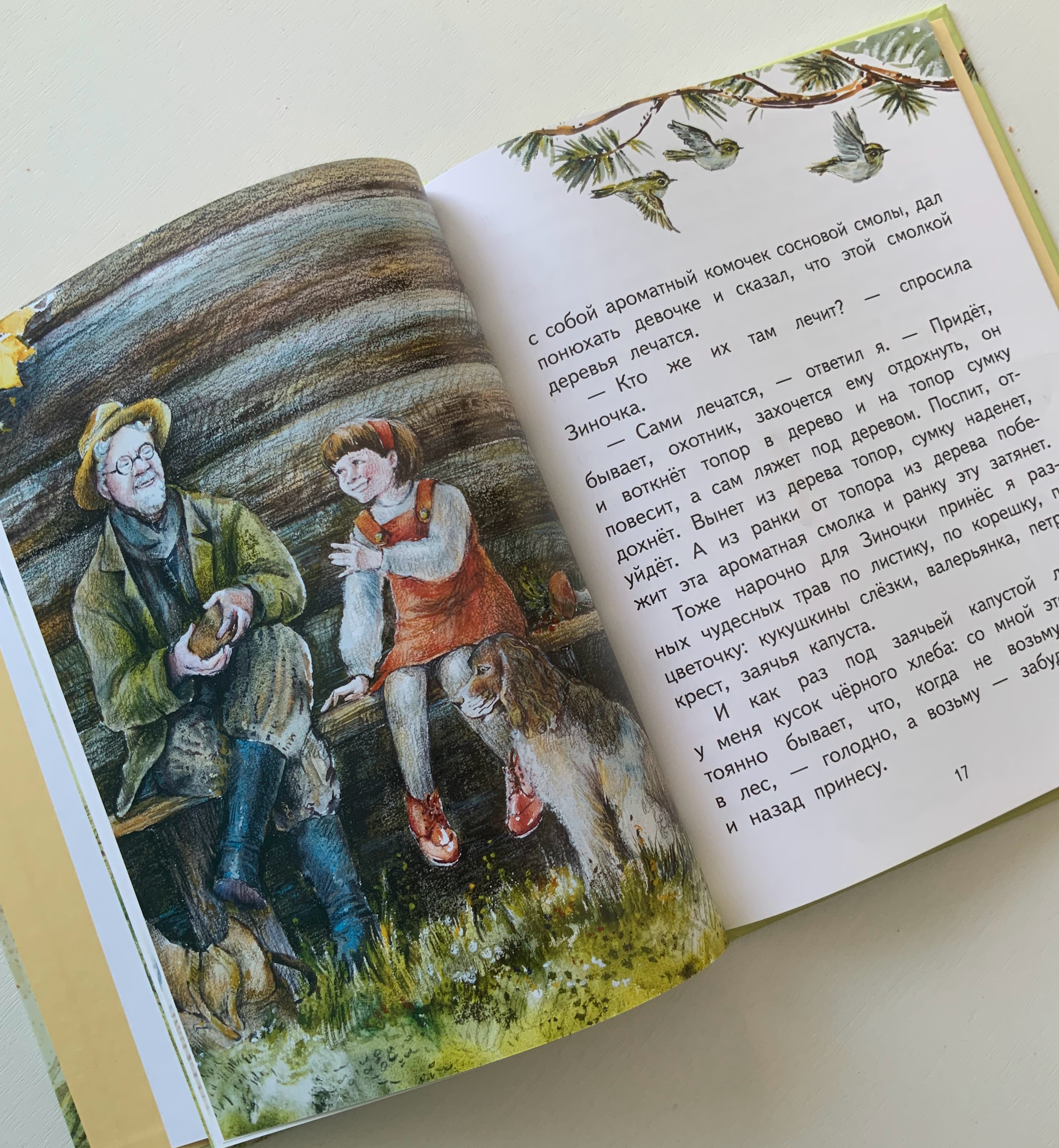 Книга с моими иллюстрациями