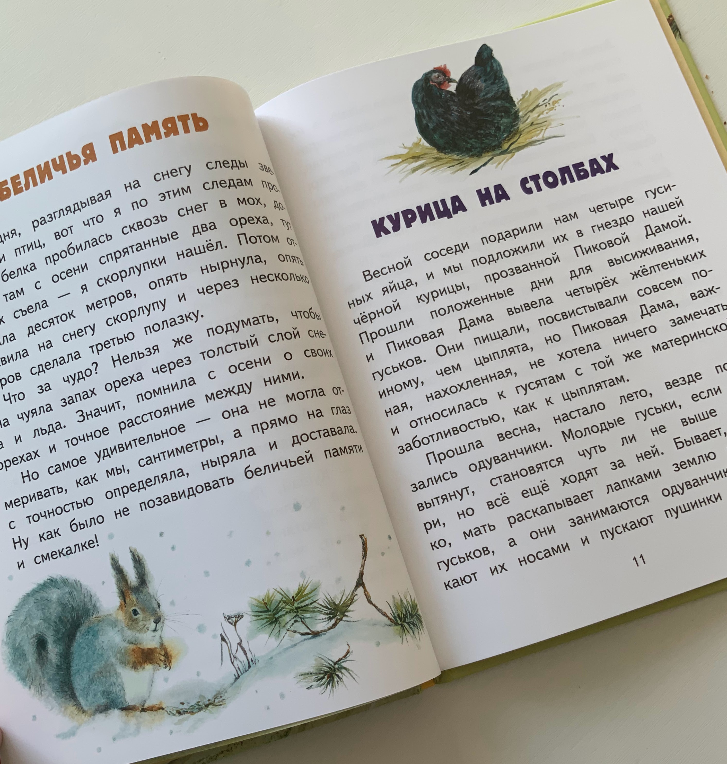 Книга с моими иллюстрациями