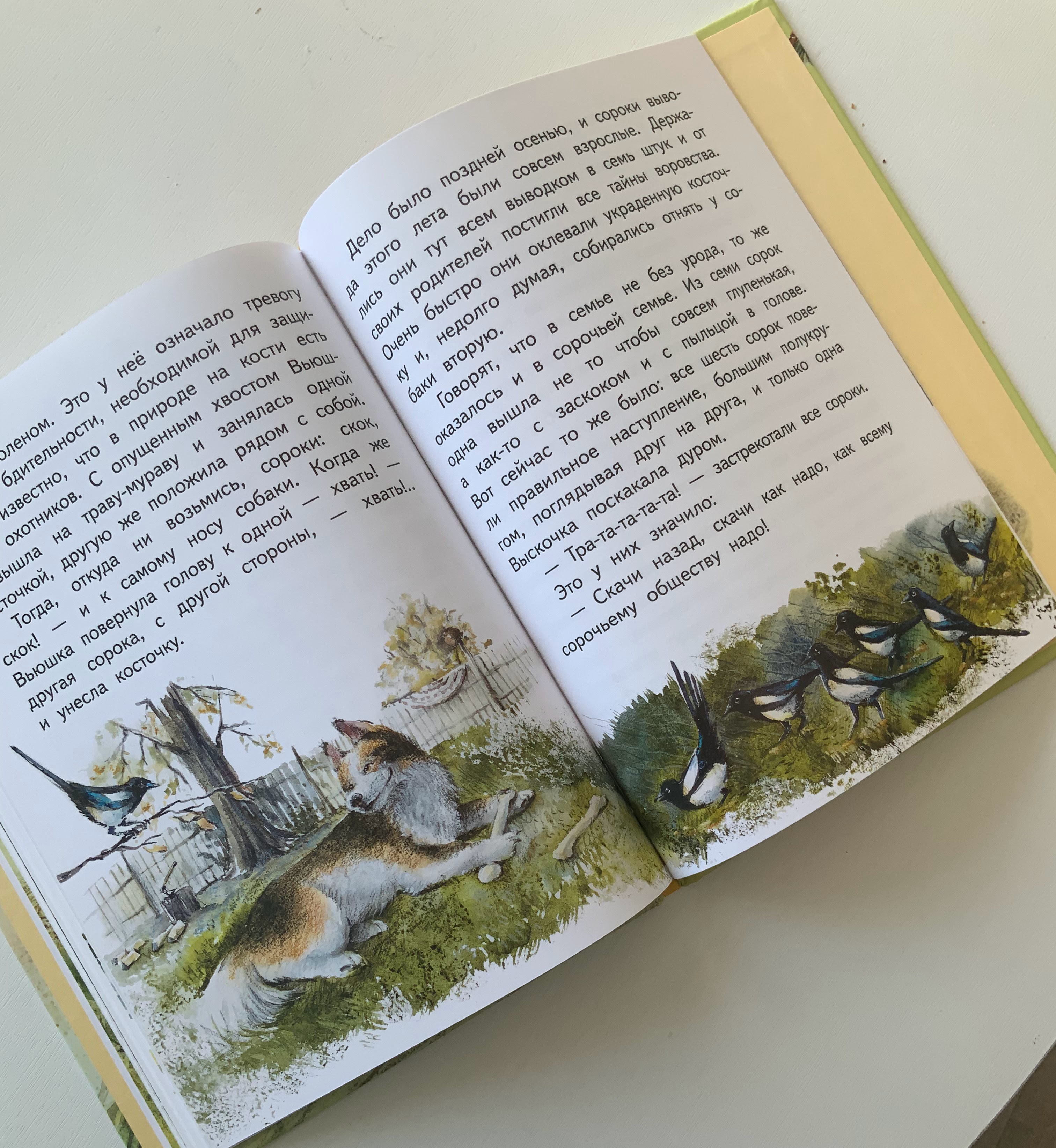 Книга с моими иллюстрациями