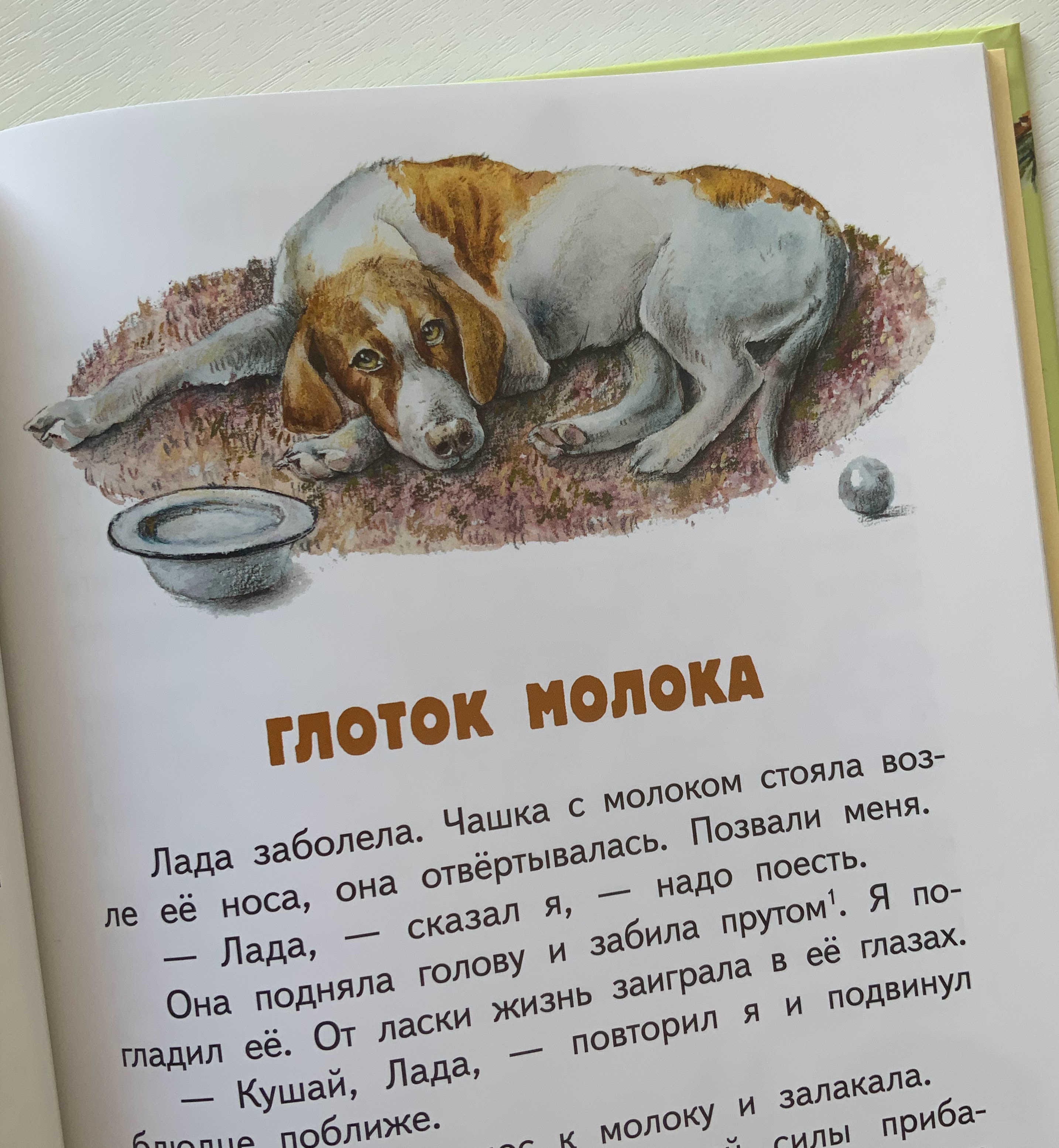 Книга с моими иллюстрациями