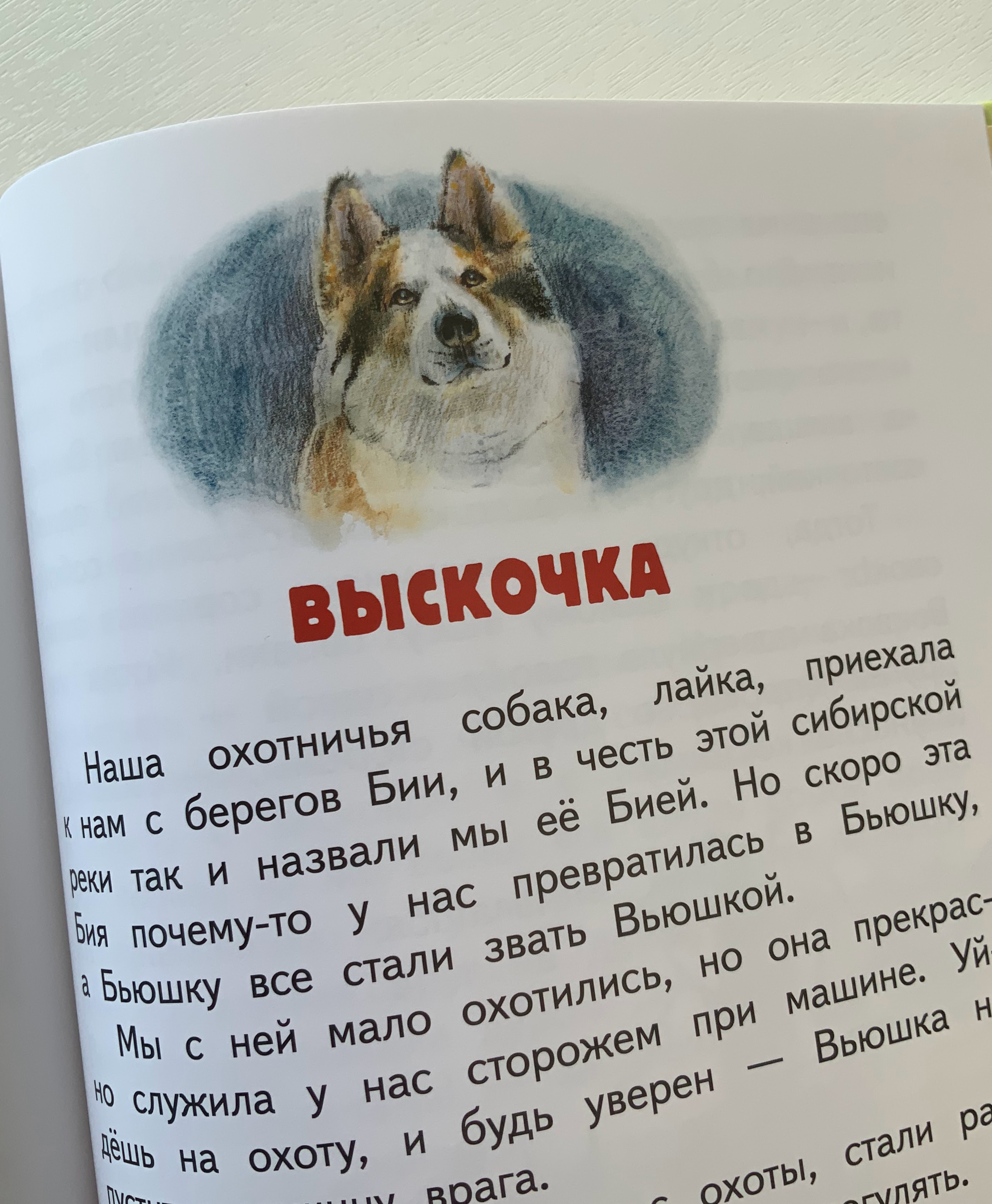 Книга с моими иллюстрациями