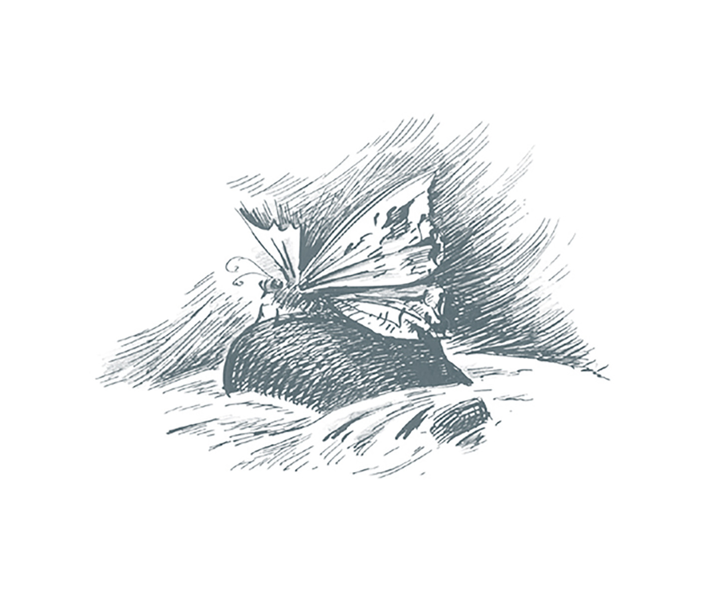 Книга стихов Евгения РЯПОВА