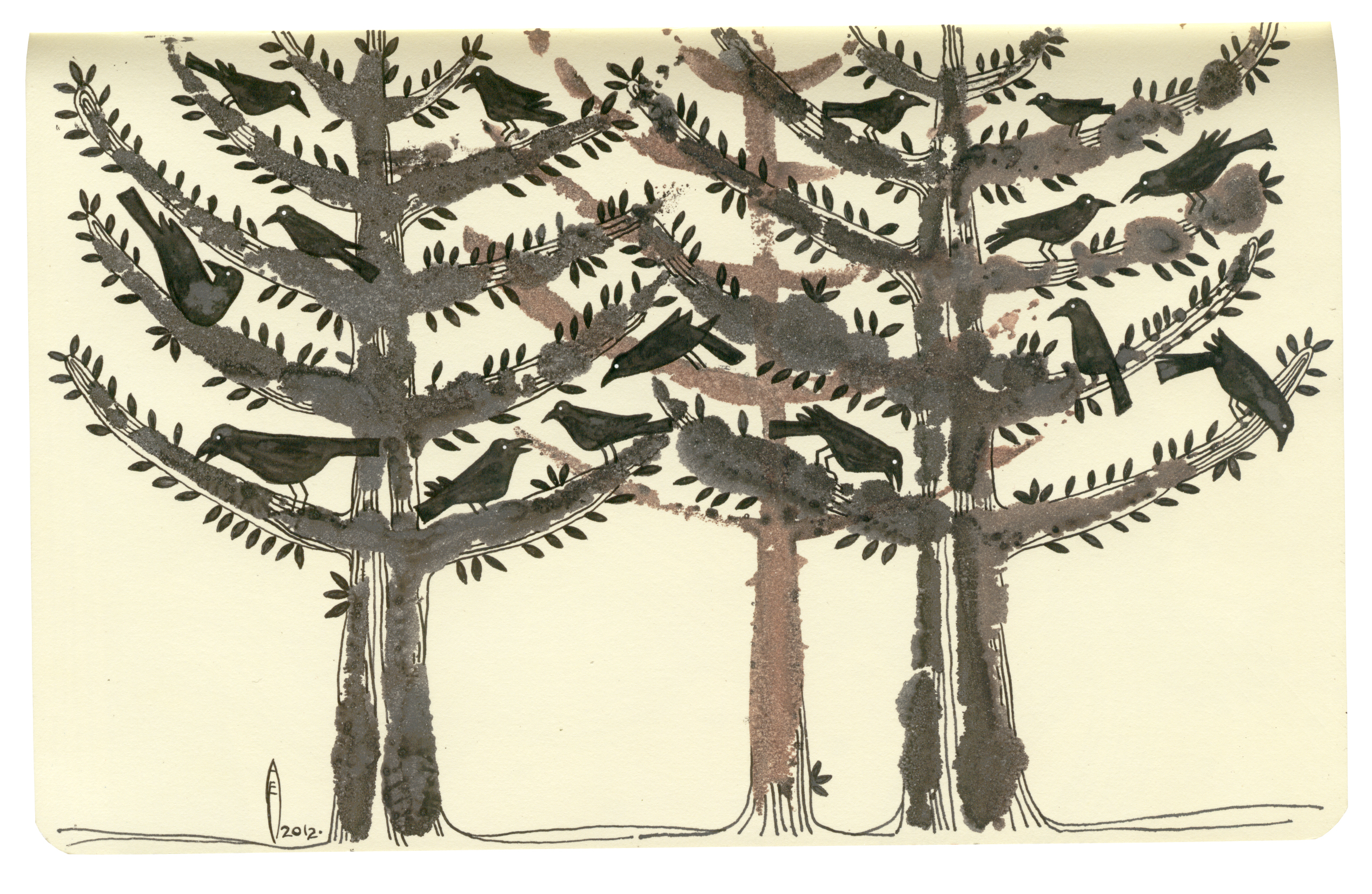 my moleskine 1