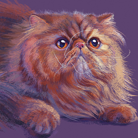 Иллюстрации для календаря