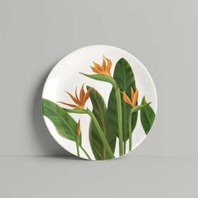 Иллюстрация Стрелиции для тарелки