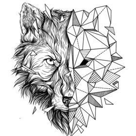 ЗвероГеометрия