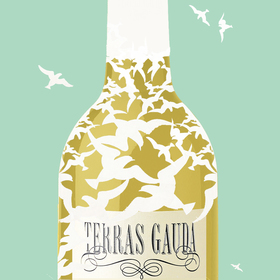 эскизы плаката для испанской винной марки "TERRAS GAUDA"