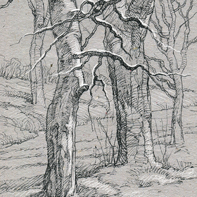 Зарисовки с натуры