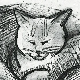 Март. Коты прилетели.