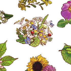 Медовые растения