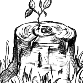 Регенерация