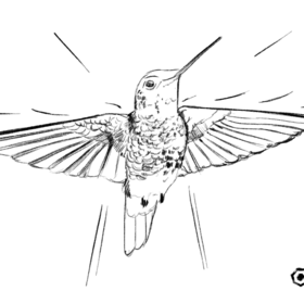 Серия иллюстраций для статьи в IT блог