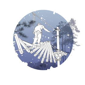 high rope course ill