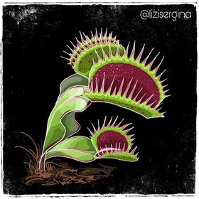 Стилизация лесных растений