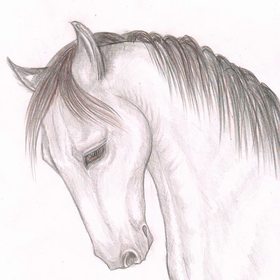 Животные и цветы