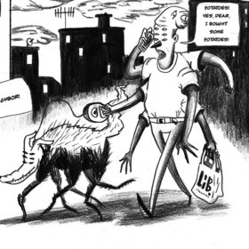 Enough! Ordinary Day