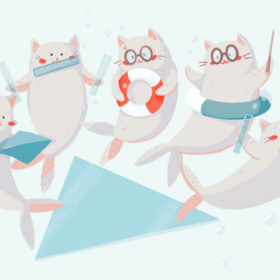 Морские котики