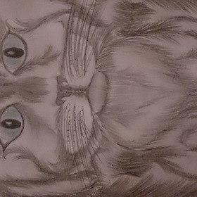 Рисунки карандашом