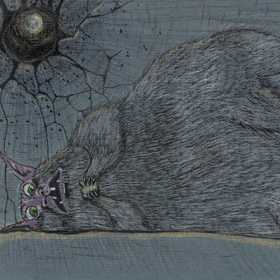 Кирюшины пушистики