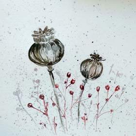 Ботаническая иллюстрация 