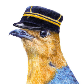 Птицы в шляпах