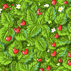 Серия паттернов "Земляника" и "Черника"