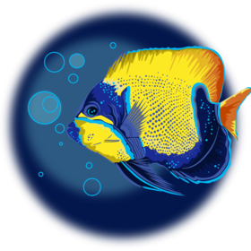  Морские обитатели