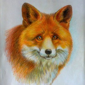 Цветные карандаши