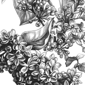 Цветение (сирень, вишня)