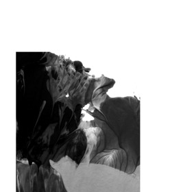 четыре волны эмоций и толстая такса