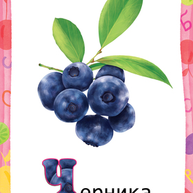 Черника, финики. эмблик. Иллюстрирование и дизайн карточек