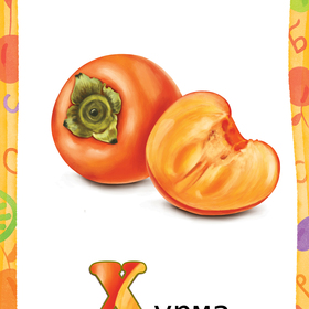 Хурма. Фрукты. Иллюстрирование карточек