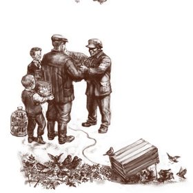 для издания Минздрава