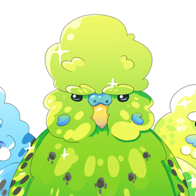 Твой попугай