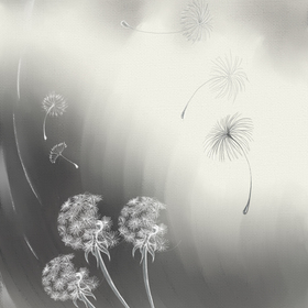 "Ловец ветра" сборник стихов