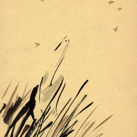 Журавль и Цапля