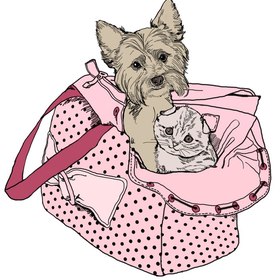 принт на сумку в виде сумки