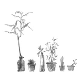 из жизни одного окна